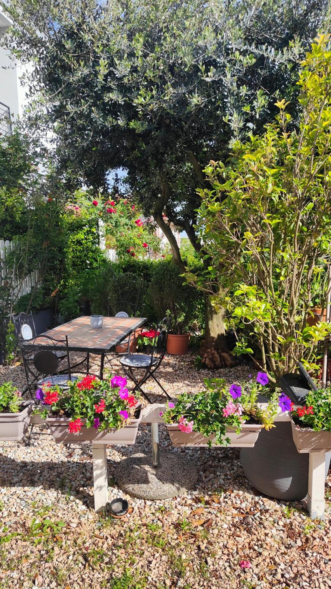 Villa Marianna Garda Lake 페스키에라델가르다 외부 사진