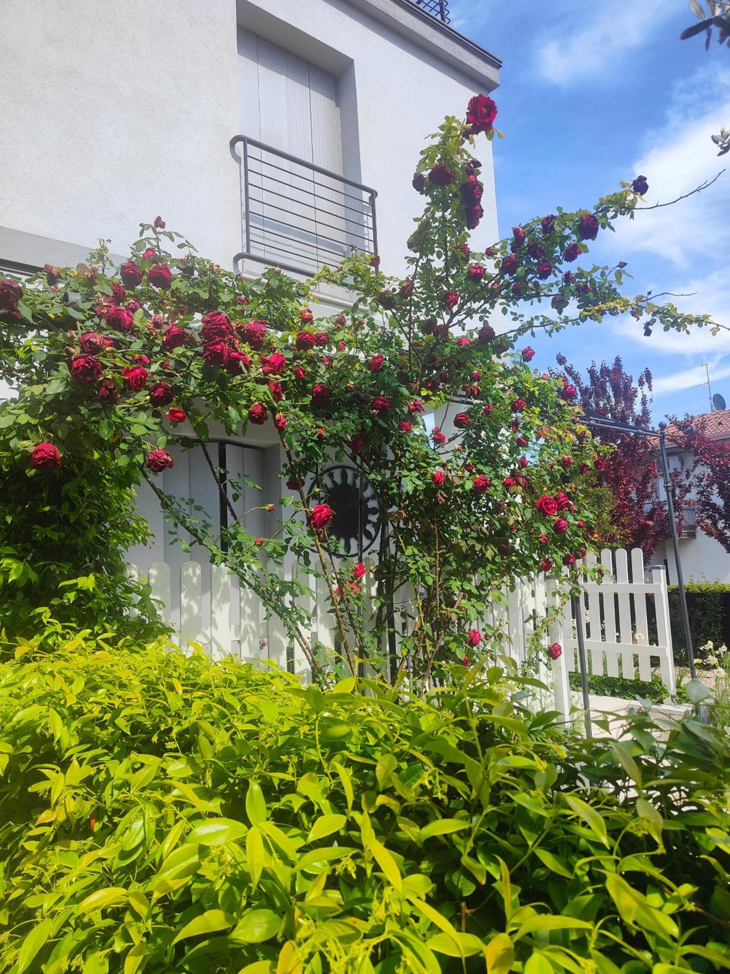 Villa Marianna Garda Lake 페스키에라델가르다 외부 사진