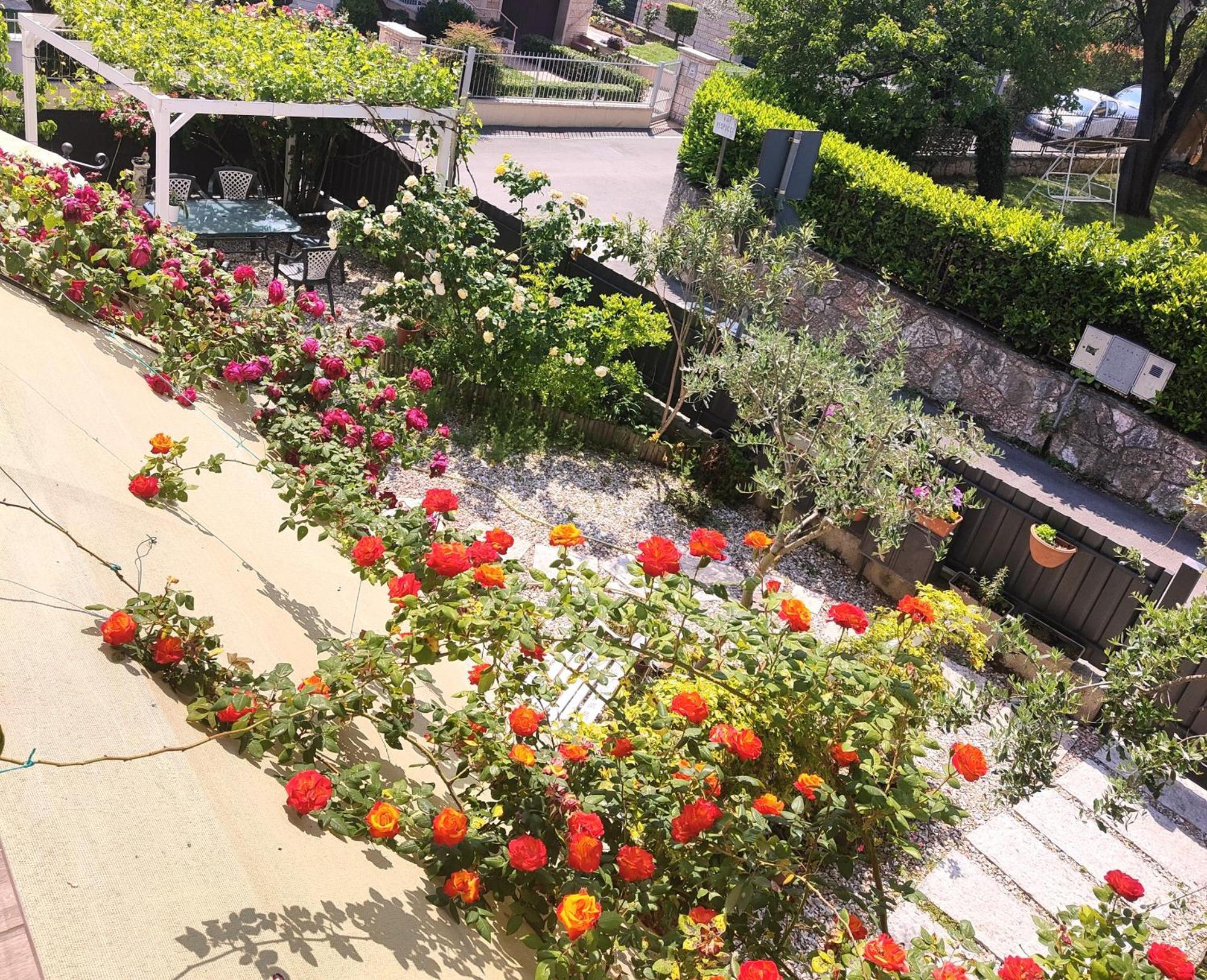 Villa Marianna Garda Lake 페스키에라델가르다 외부 사진